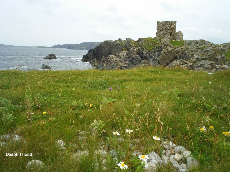 Doagh Island