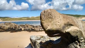 Rhino Stone at Doagh Island