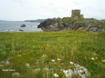 Carrickabreaghy Castle on Doagh Island